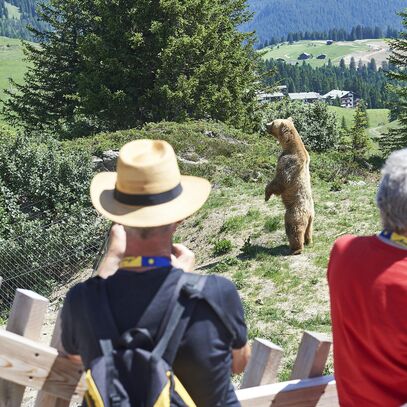 Plattform | © Arosa Tourismus