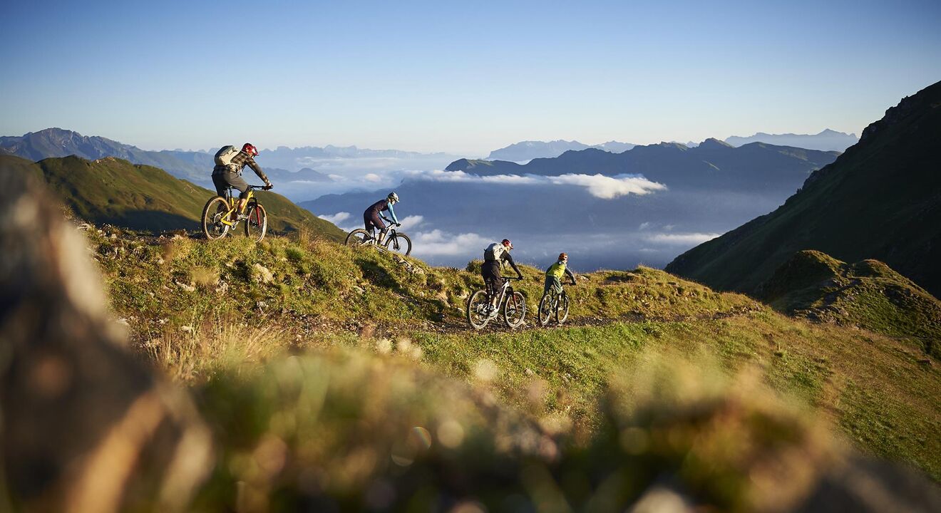Sunrise Bike Tour