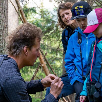 lebensraumbergwald | © Arosa Tourismus / Simon Strauss