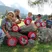 Lampion basteln