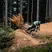 JC_Fotoworkshop_0062.JPG