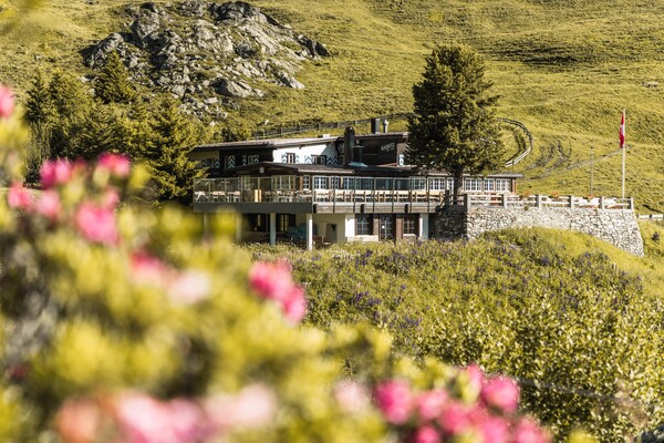 alpenblick_aussicht