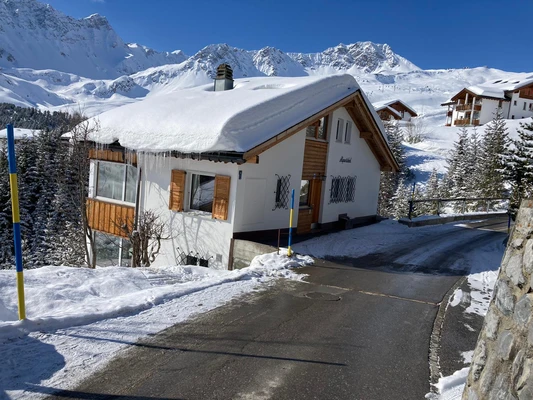 alpentobel in de sneeuw