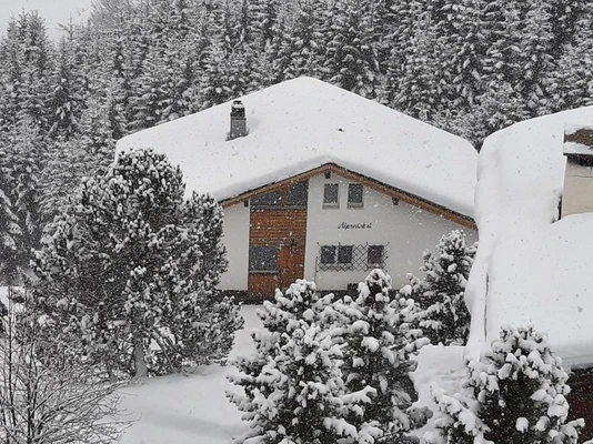 alpentobel als het sneeuwt