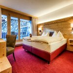 Photo of Double Room AlpinArosa