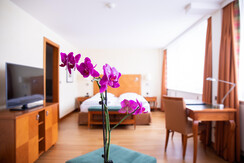 Room Pictures_Room_NAP EZ_3