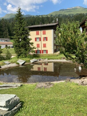 Sommer-7