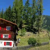 Bild von Sonniges CHALET AROSA für 6 Pers mit Panoramablick