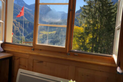 36EAAFD6-8628-41B7-A987-DF59D9DC3774