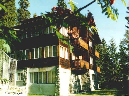 Chalet Suveran Sommer