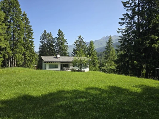 Mitten in der Natur – mit grossem Umschwung und weiter Wiese rund ums Haus.