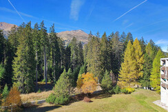 Aussicht vom Wohnzimmer/Balkon aus