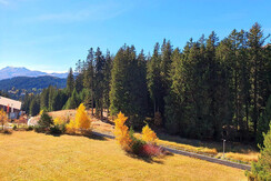 Aussicht vom Wohnzimmer/Balkon aus