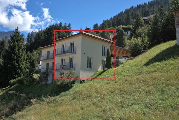 Edelweiss_sommer_2.jpg