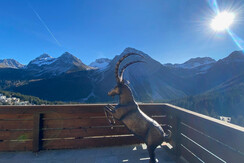 Aussicht von der Terrasse Aussicht von der Terrasse