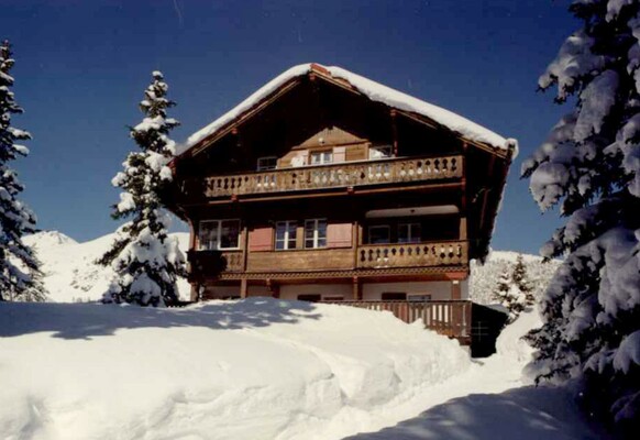 Winter