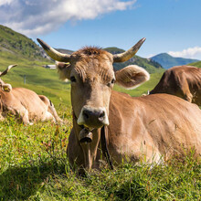 Aroser-Alp-Kuh